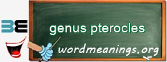 WordMeaning blackboard for genus pterocles